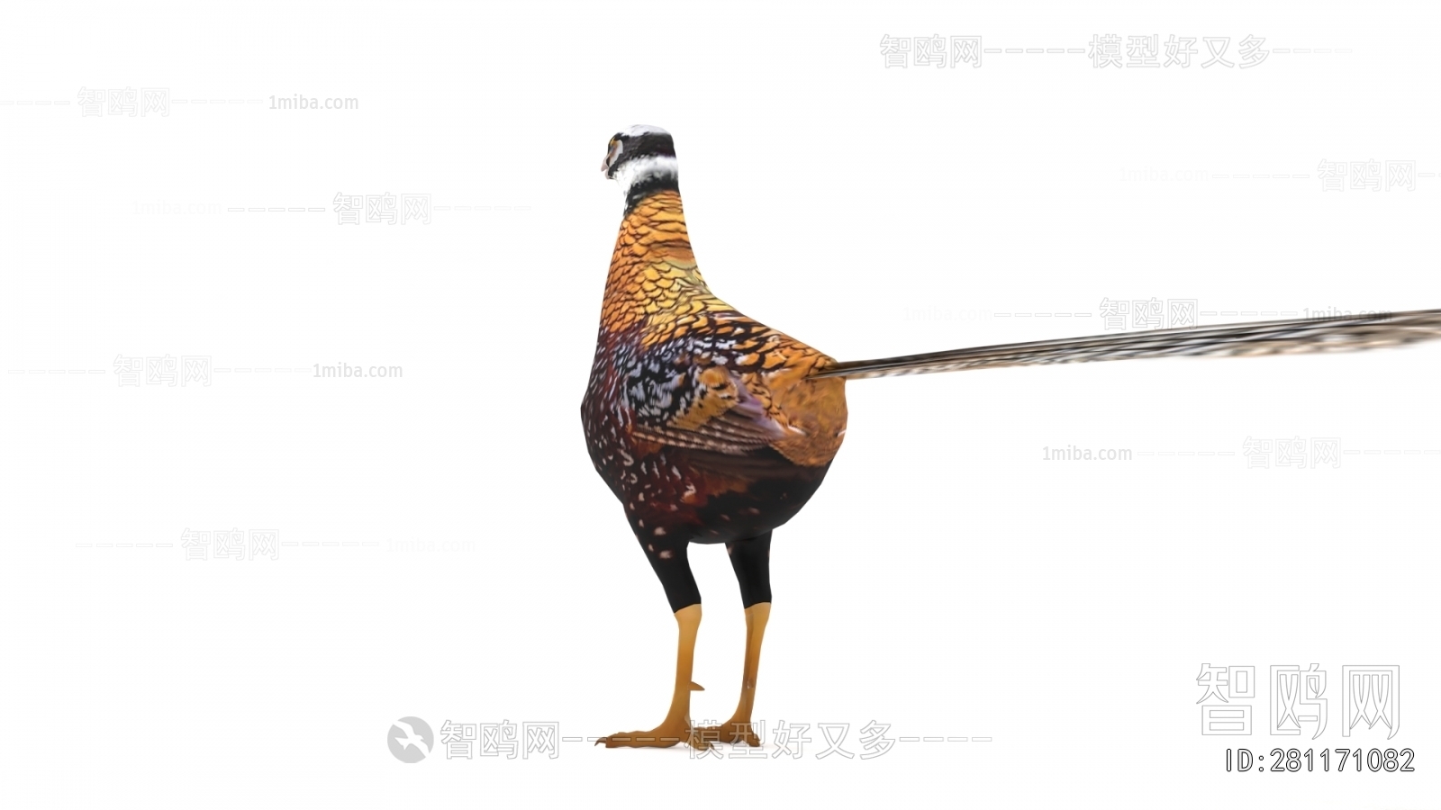 Modern Flying Animals