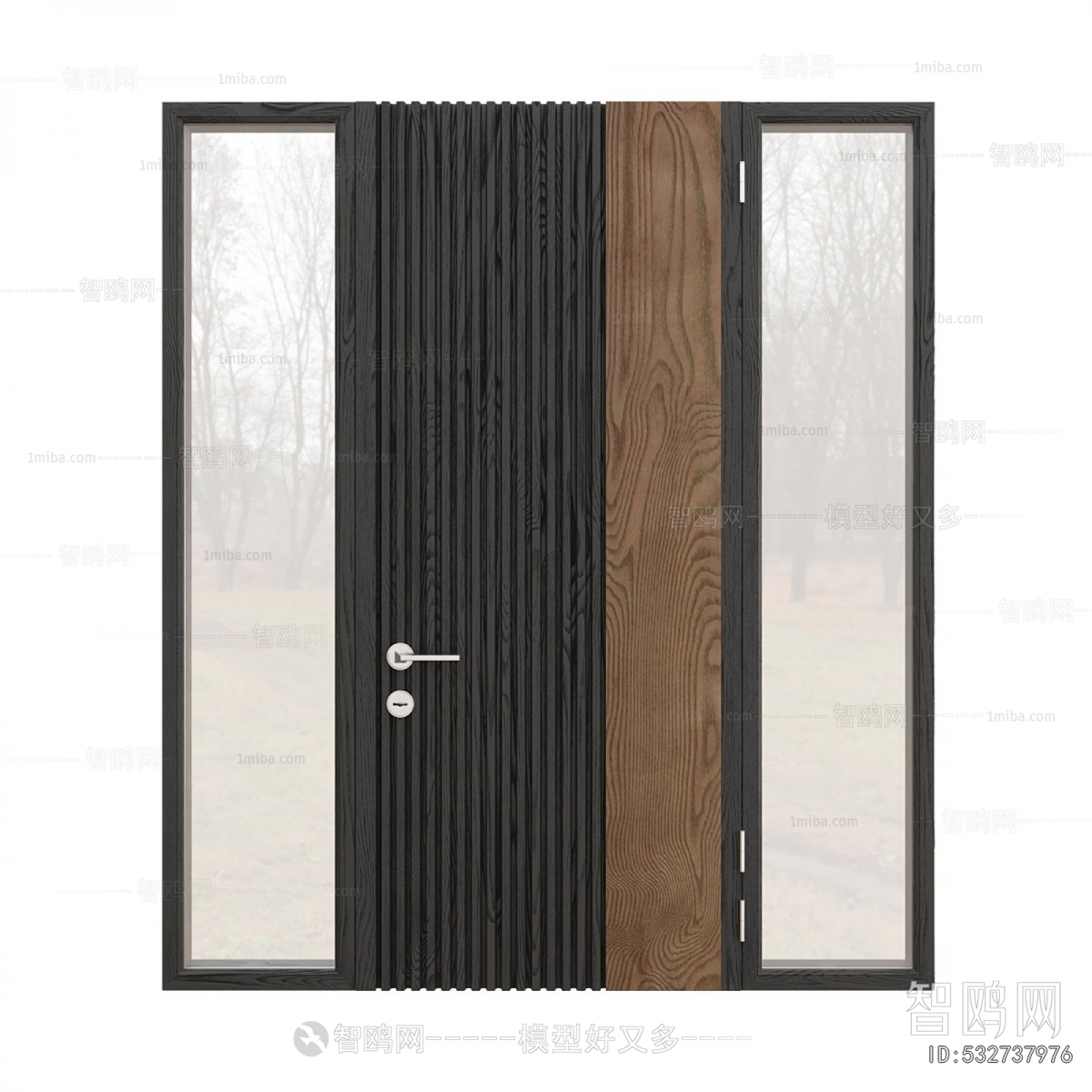 Modern Entrance Door