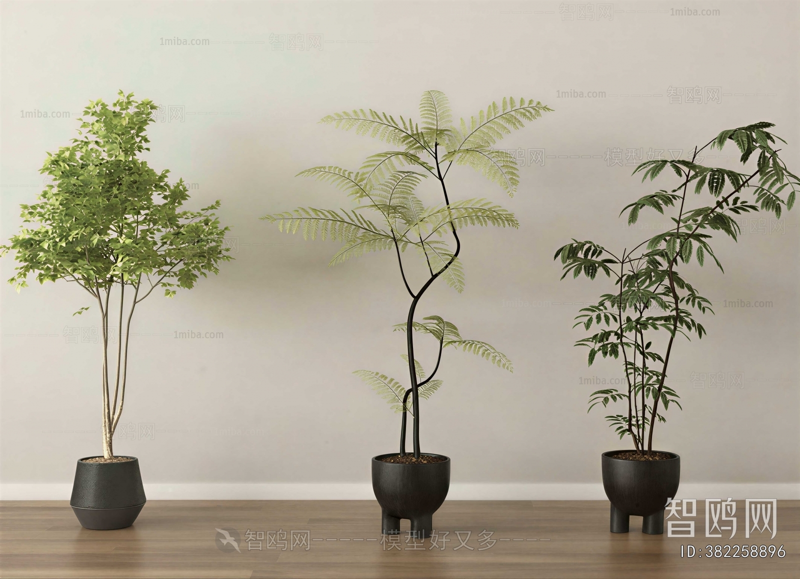 Modern Ground Green Plant Potted Plants