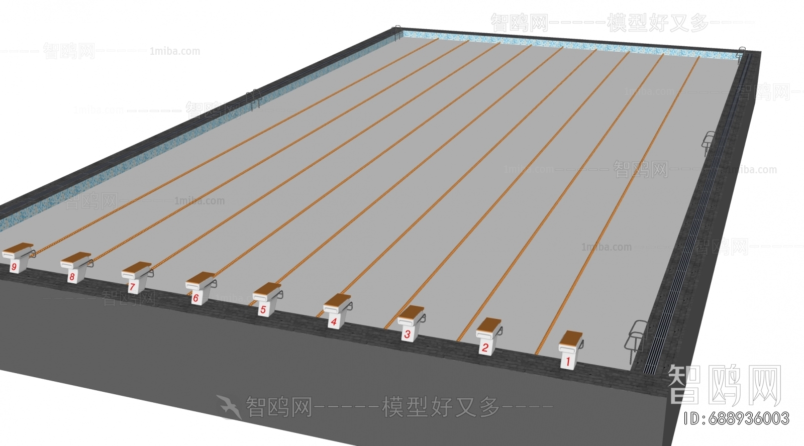 Modern Swimming Pool