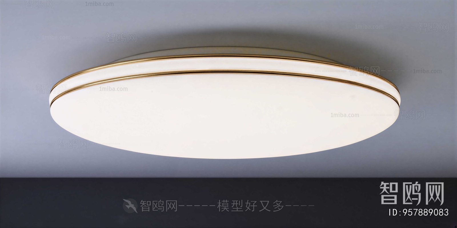 Modern Ceiling Ceiling Lamp