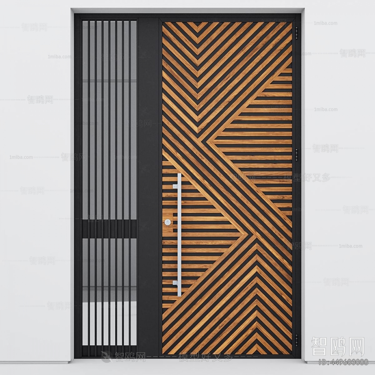 Modern Door