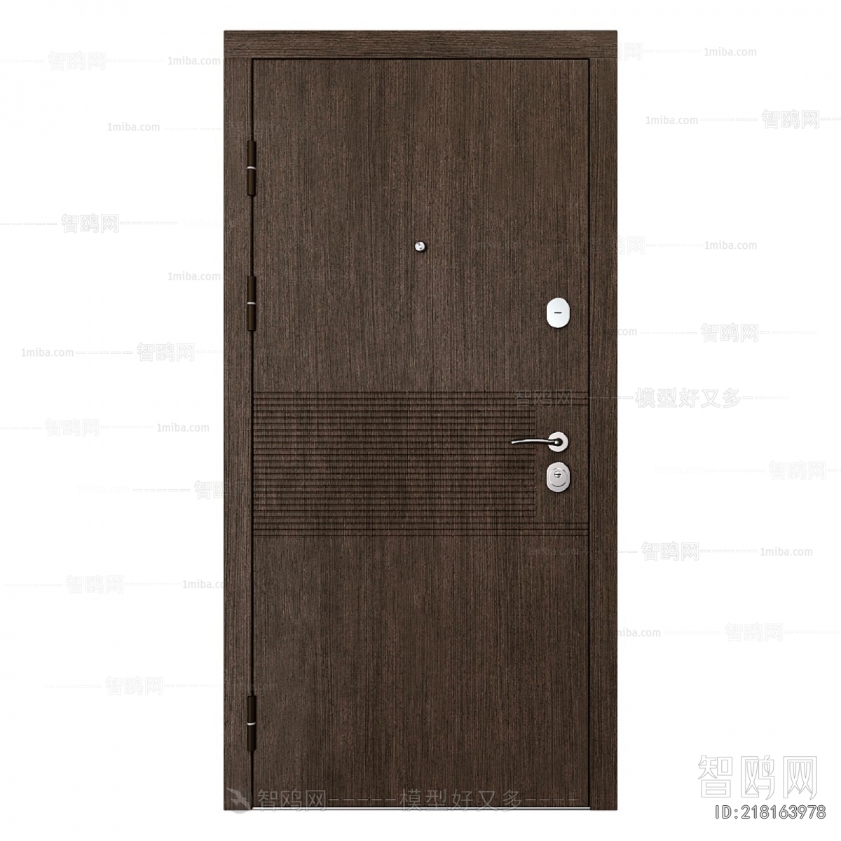 Modern Entrance Door