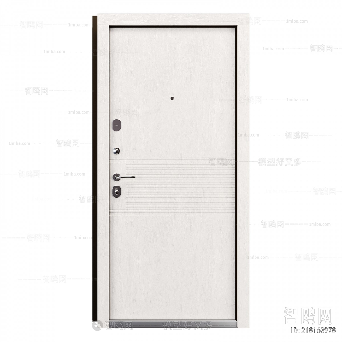 Modern Entrance Door