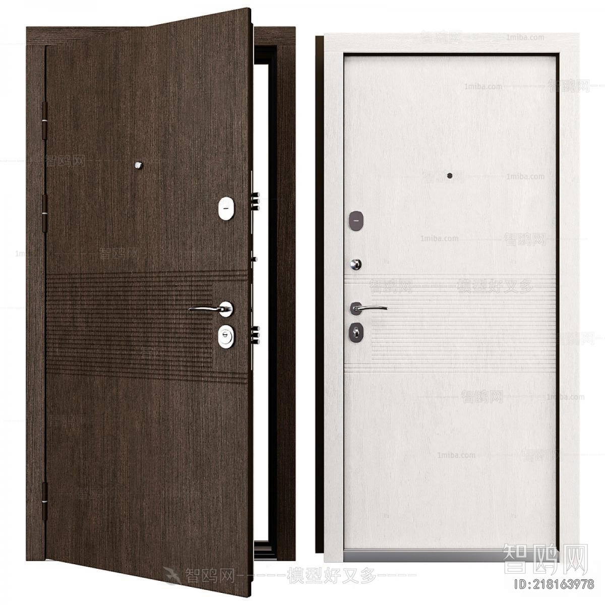 Modern Entrance Door
