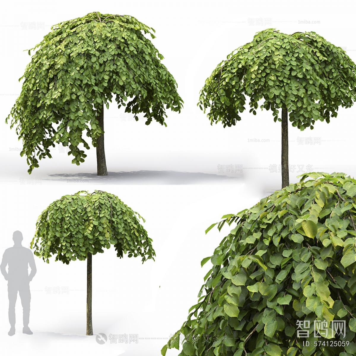 Modern Tree