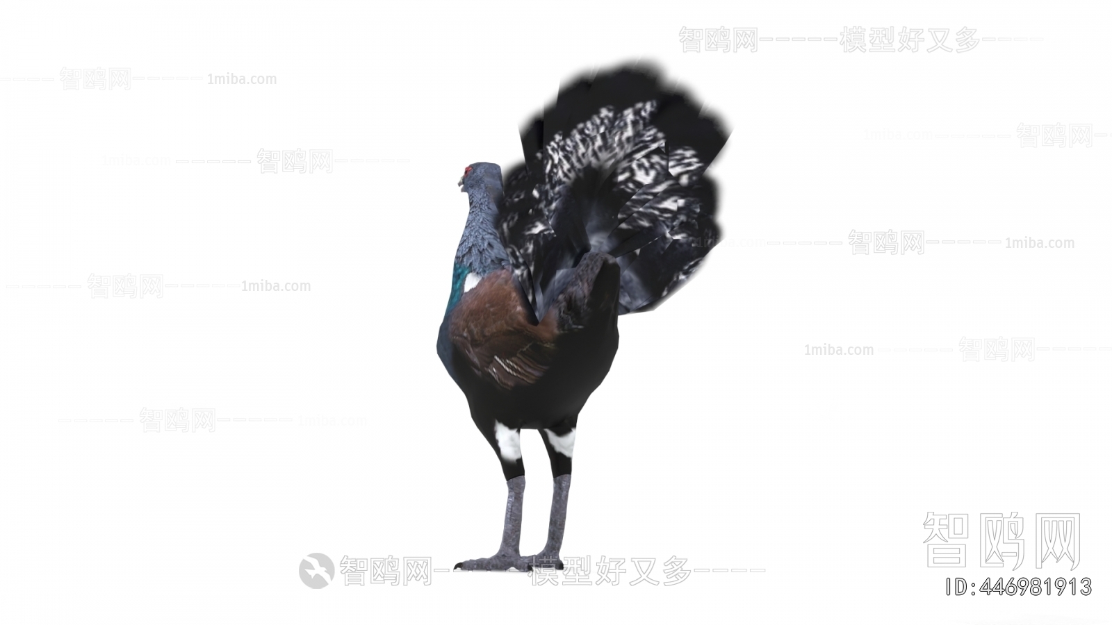 Modern Flying Animals