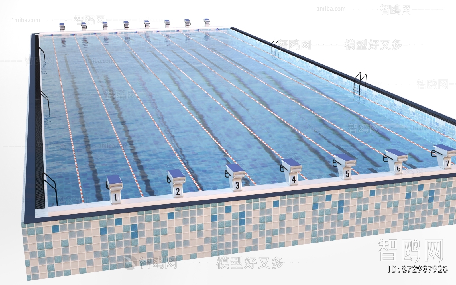 Modern Swimming Pool
