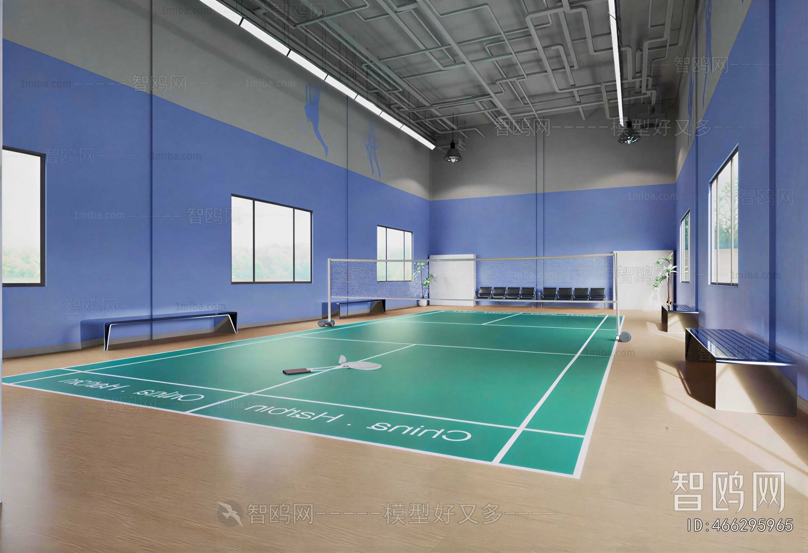 Modern Indoor Badminton Court