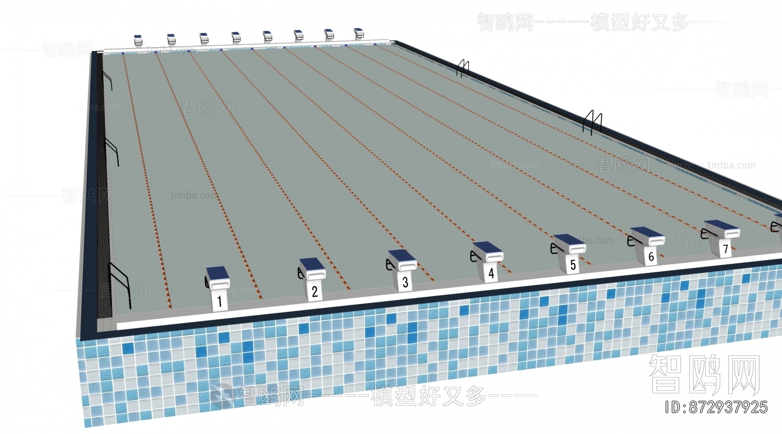 Modern Swimming Pool