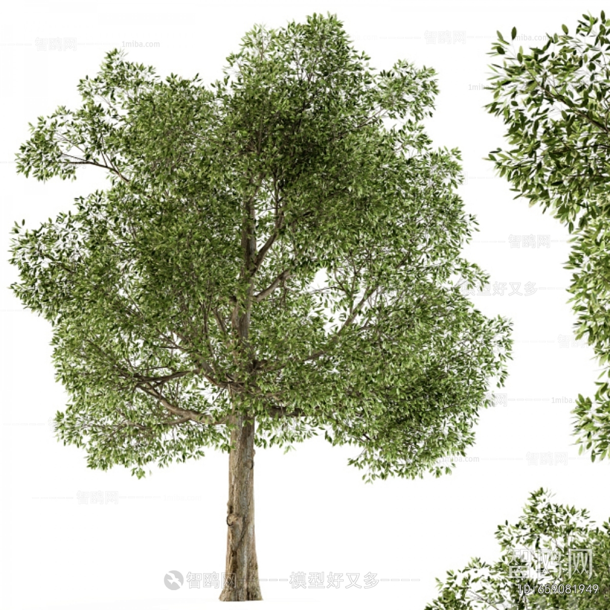 Modern Tree