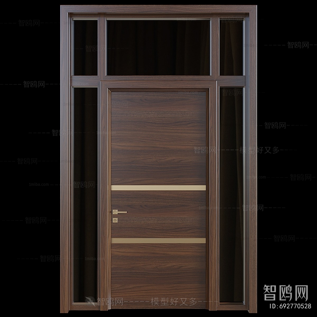 Modern Door