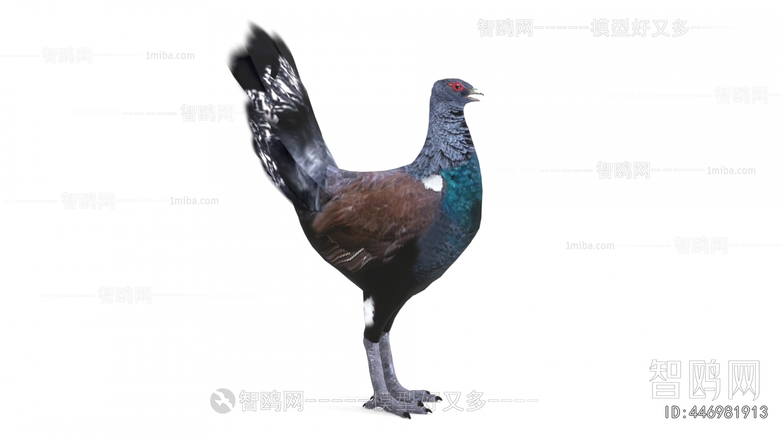 Modern Flying Animals