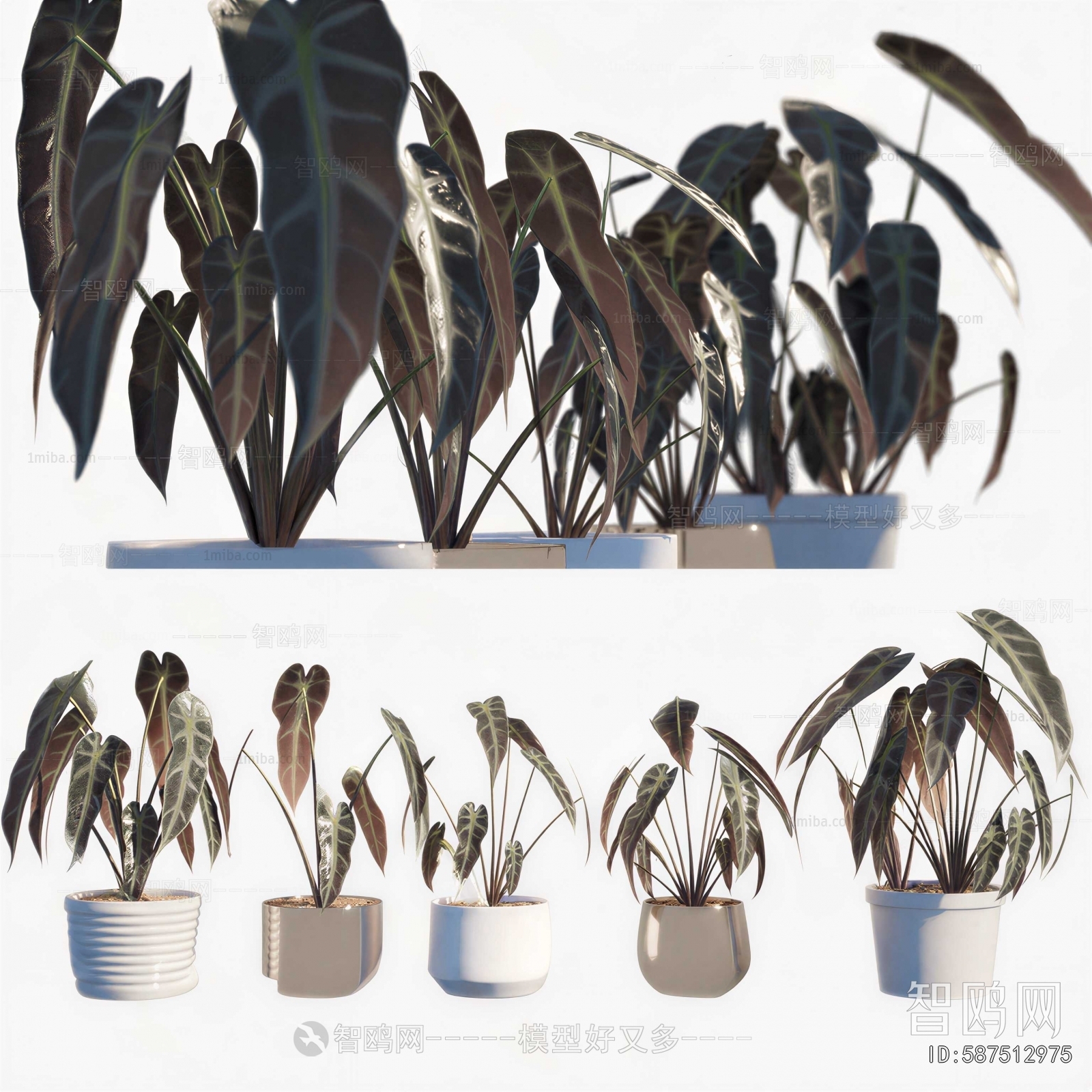 Modern Potted Green Plant