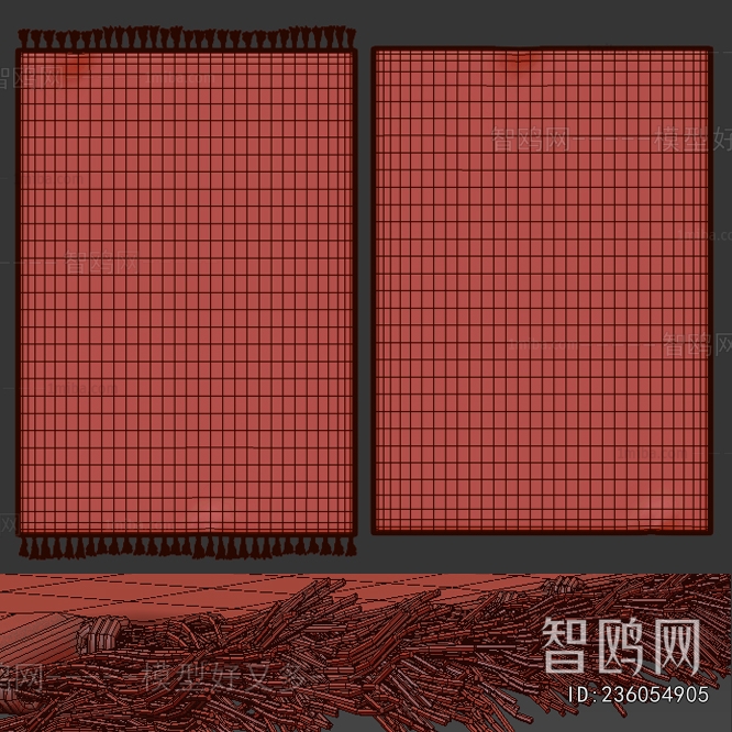 Modern The Carpet