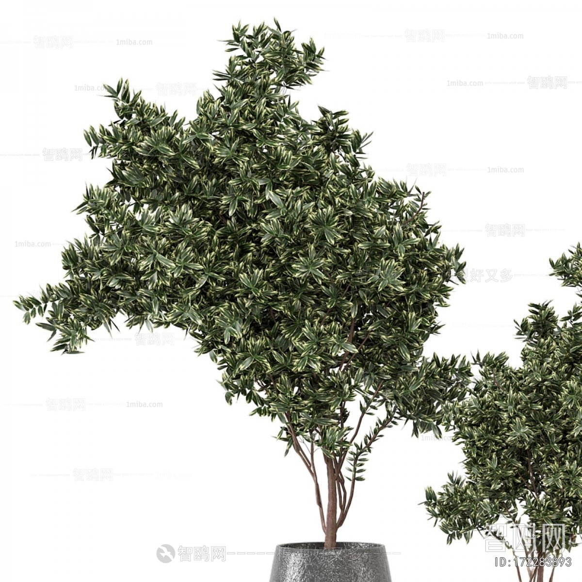 Modern Ground Green Plant Potted Plants