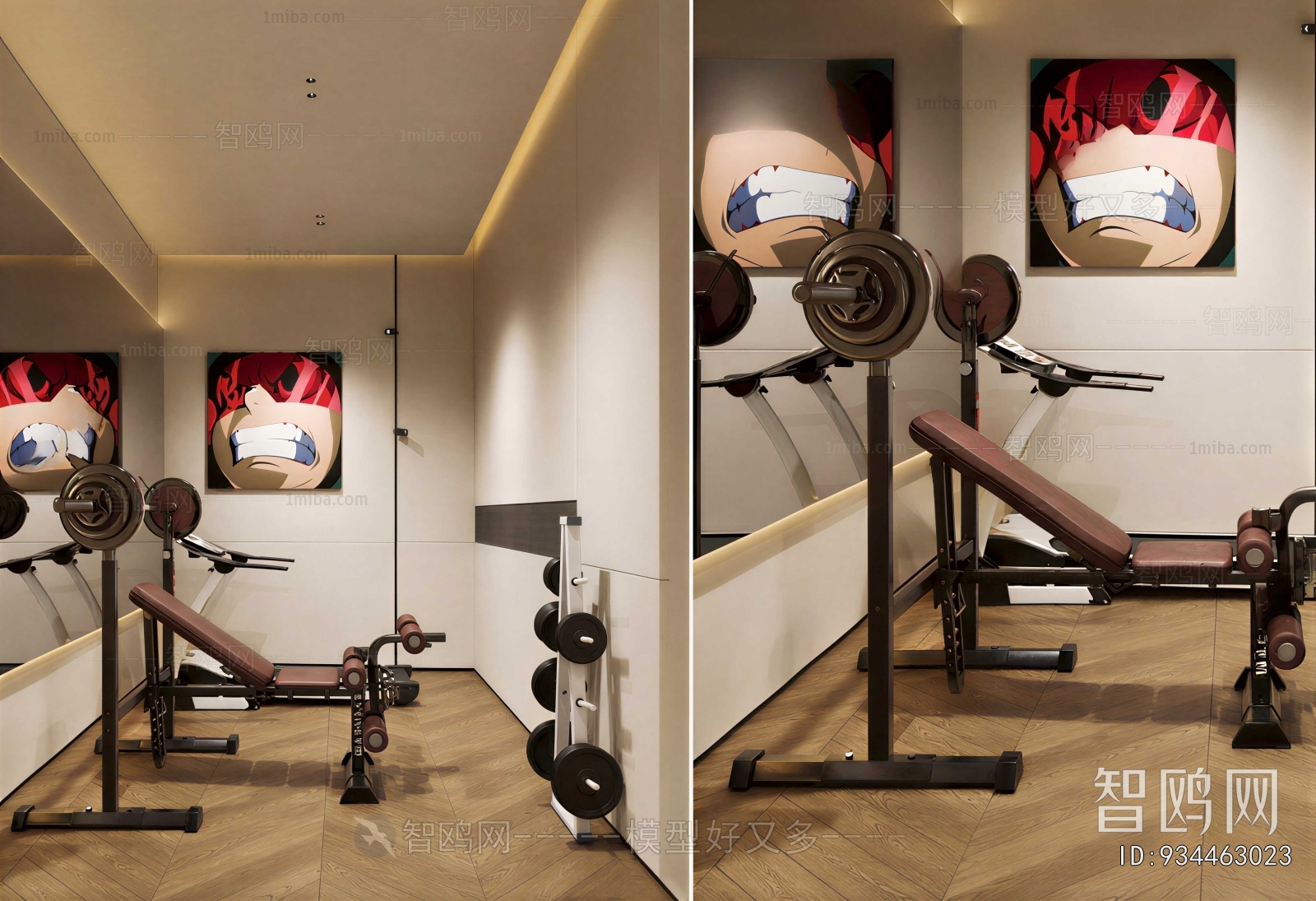 Modern Home Fitness Room