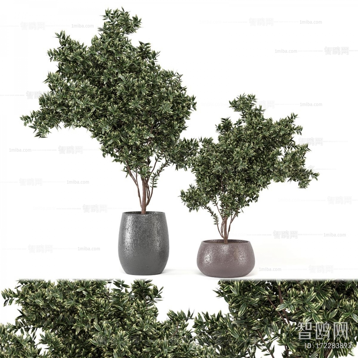 Modern Ground Green Plant Potted Plants