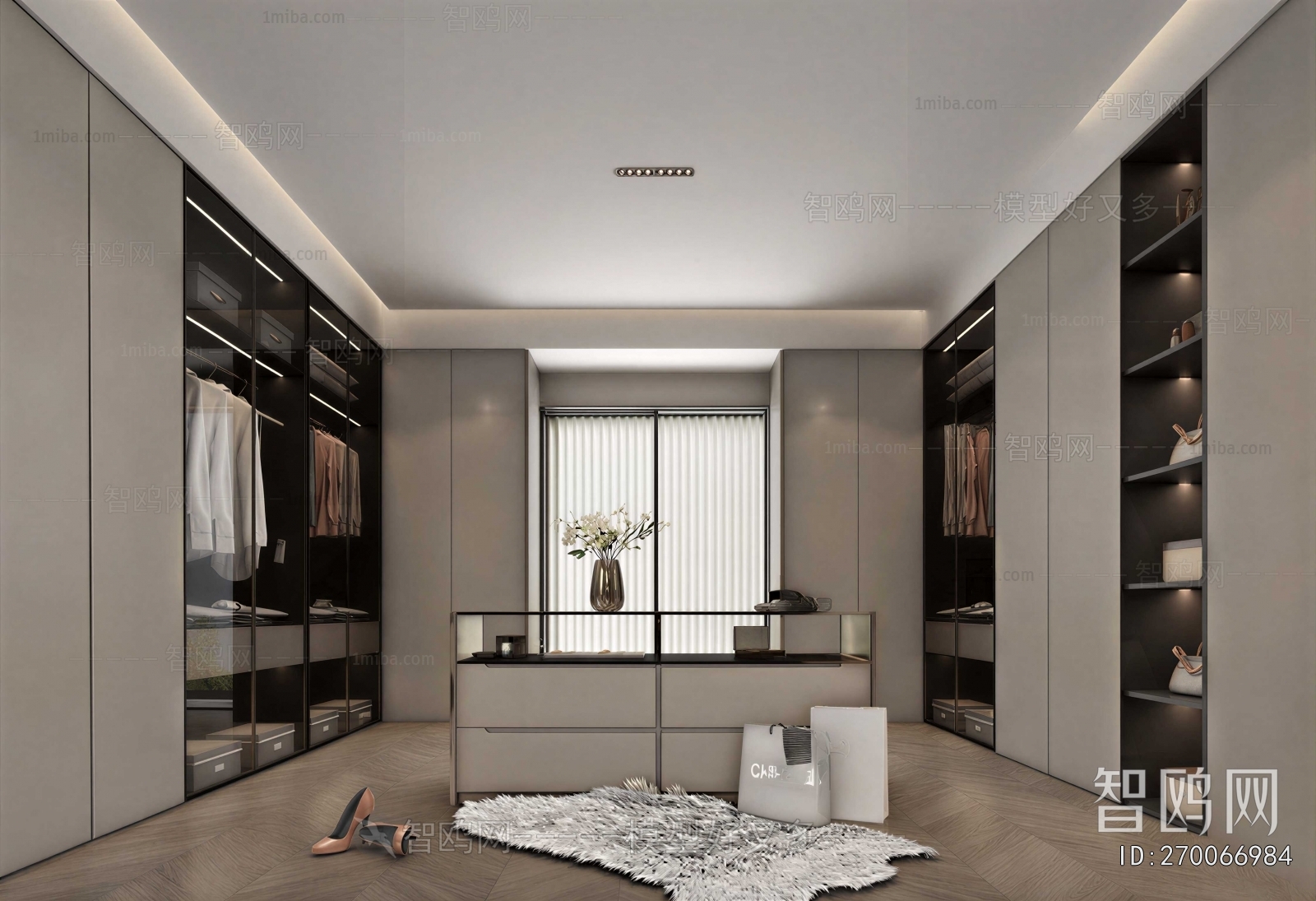 Modern Clothes Storage Area