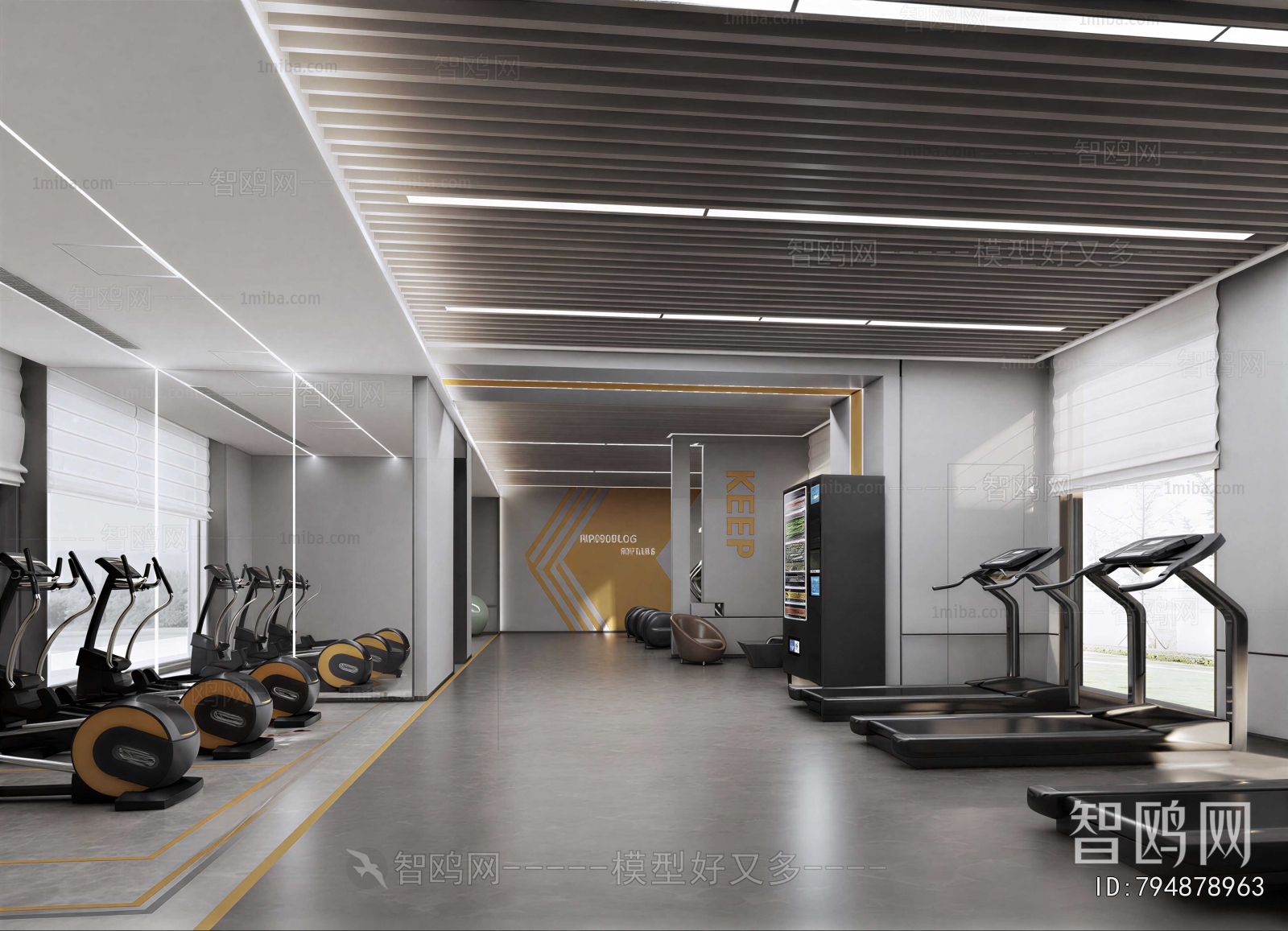 Modern Gym