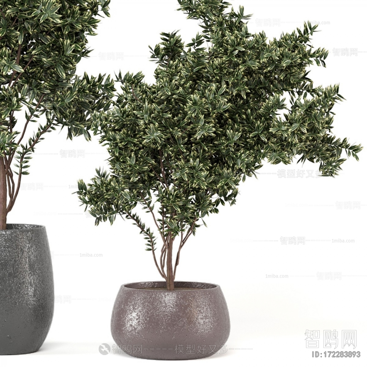 Modern Ground Green Plant Potted Plants