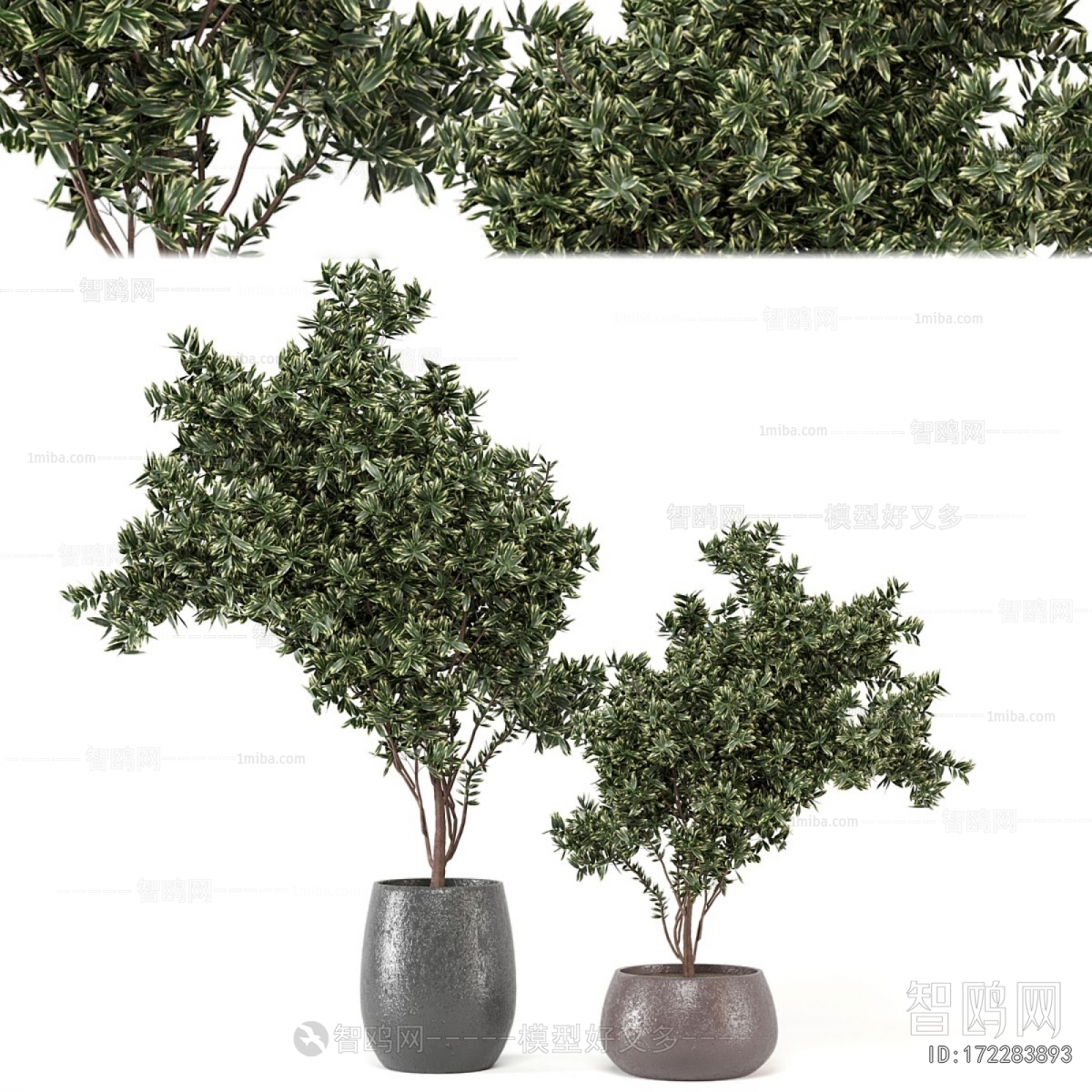 Modern Ground Green Plant Potted Plants