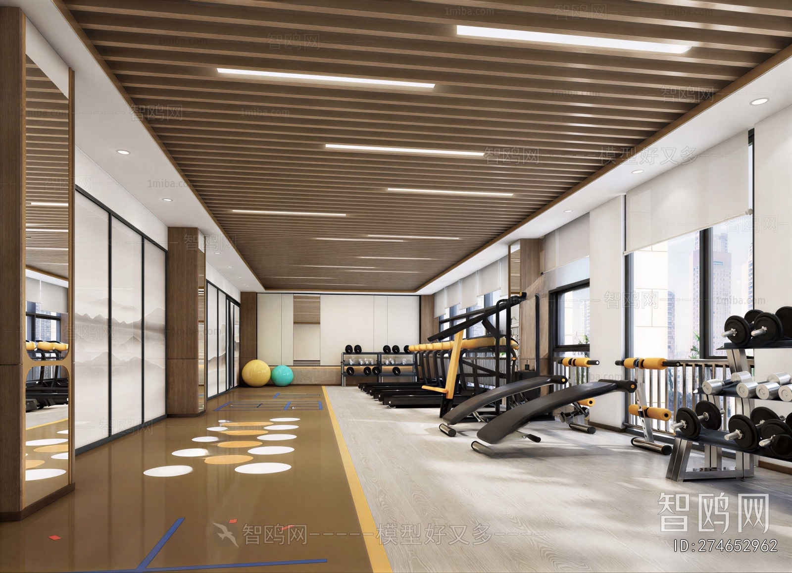 Modern Gym
