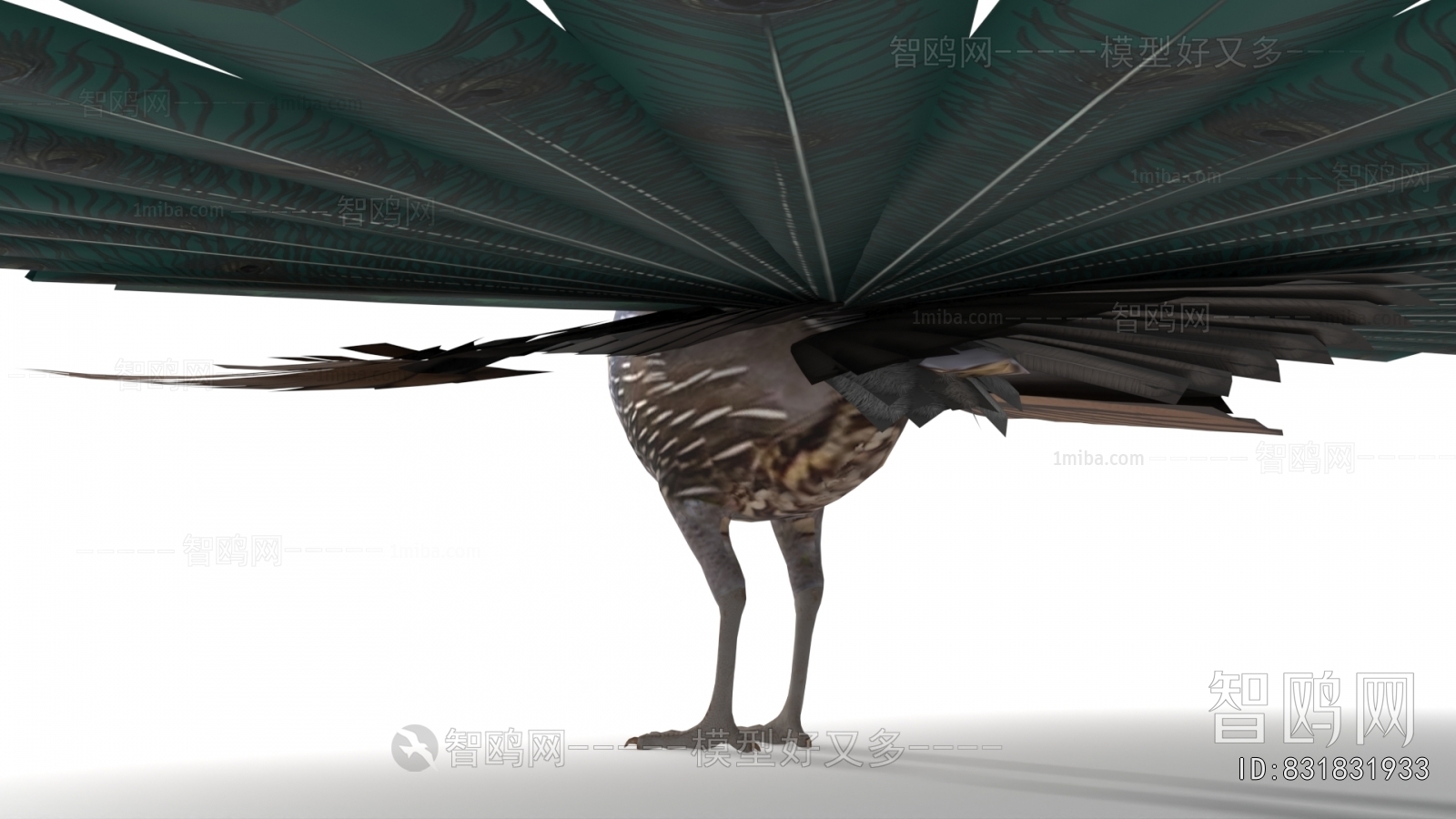 Modern Animal