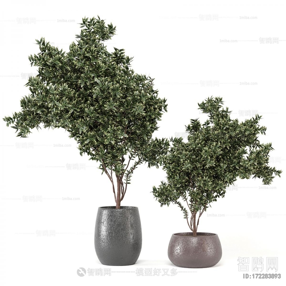 Modern Ground Green Plant Potted Plants