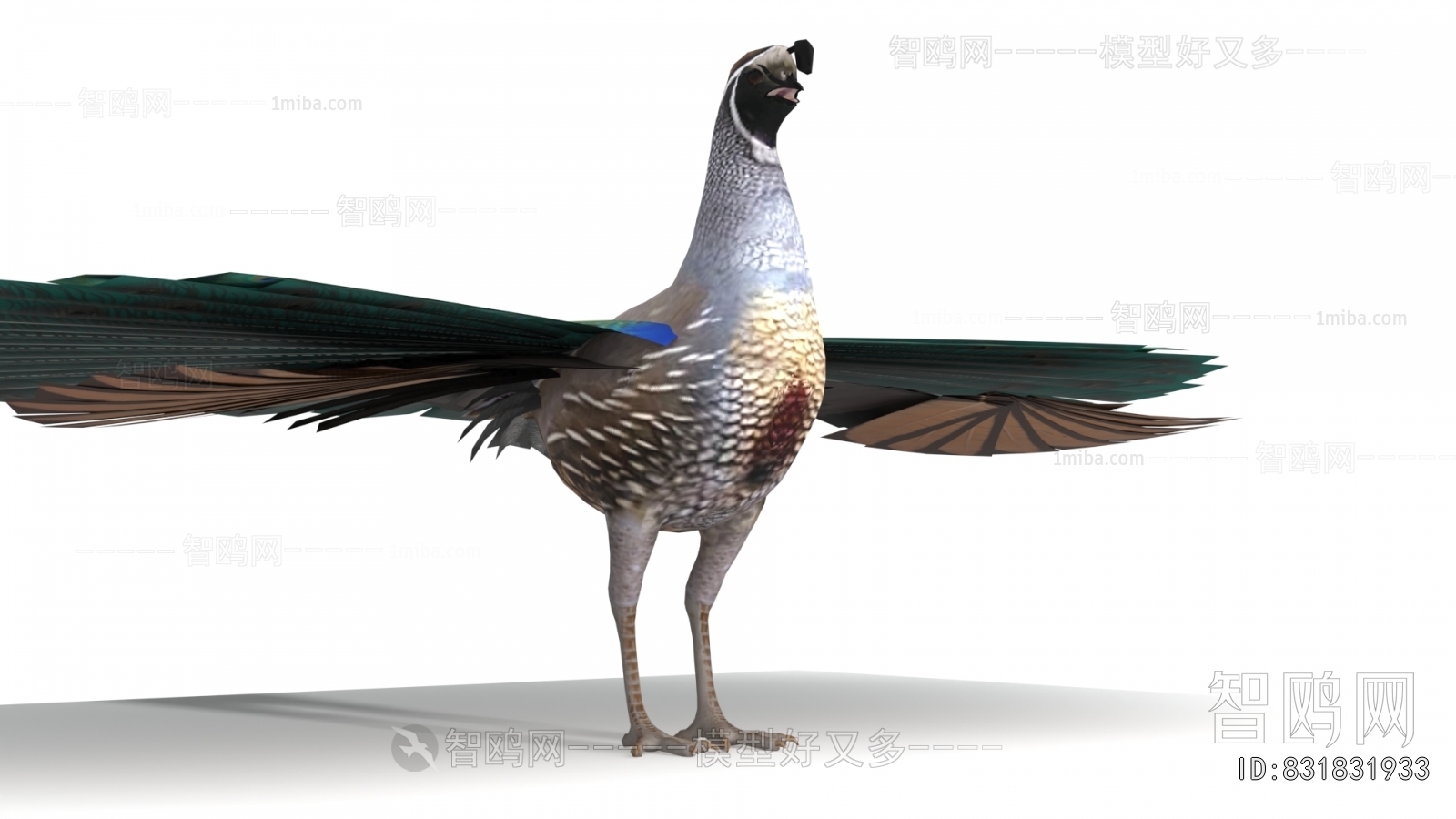 Modern Animal