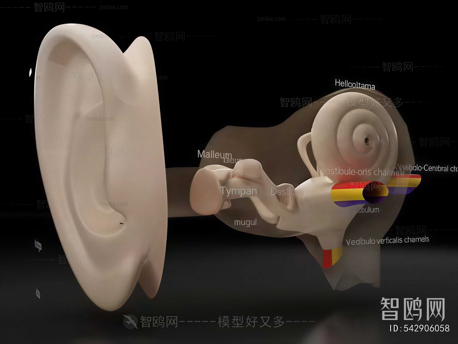 Modern Medical Equipment