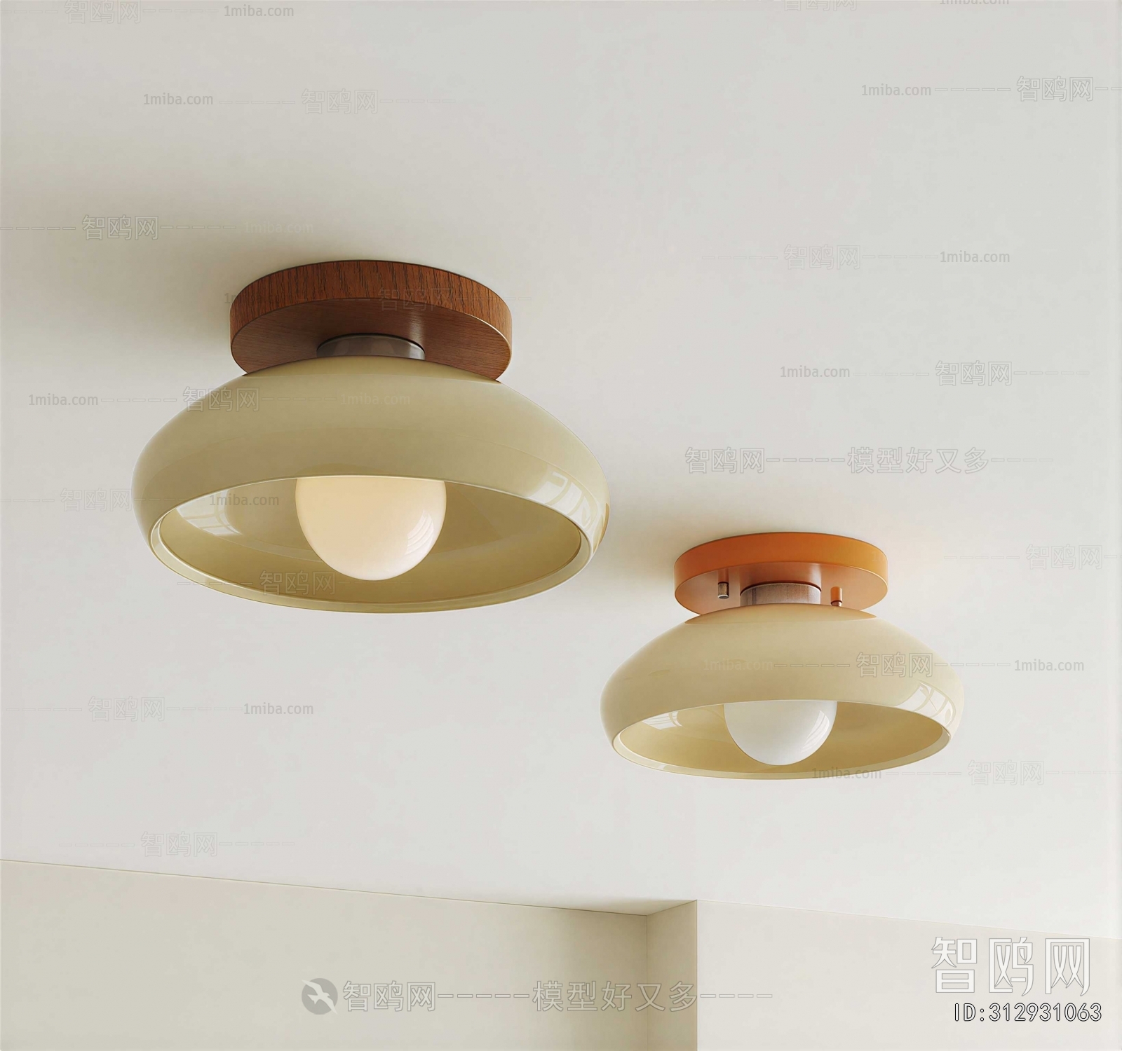 Modern Ceiling Ceiling Lamp