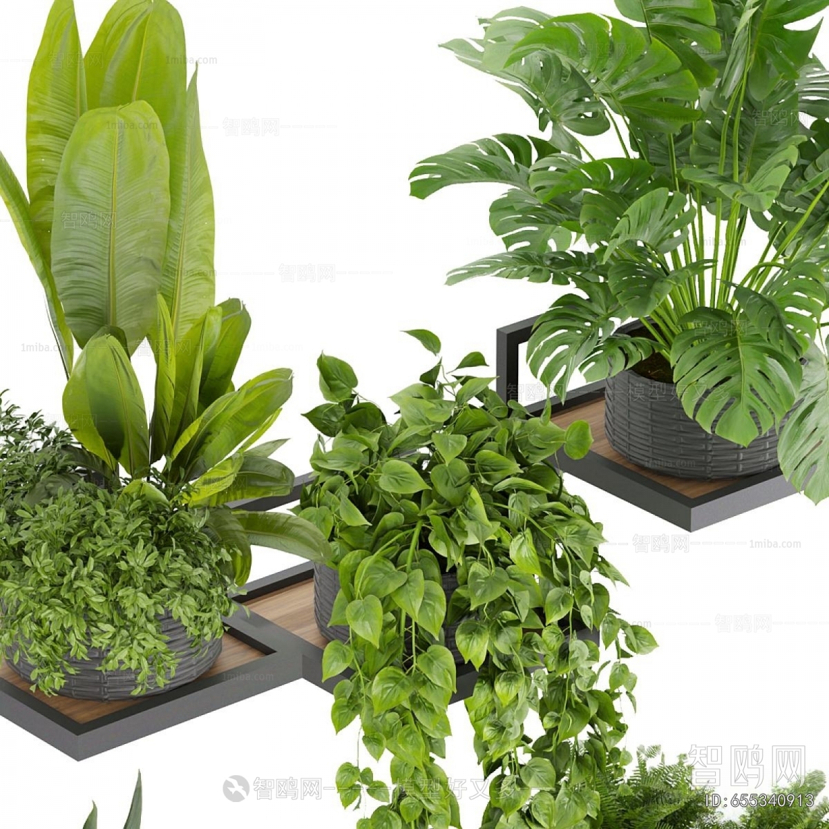 Modern Potted Green Plant