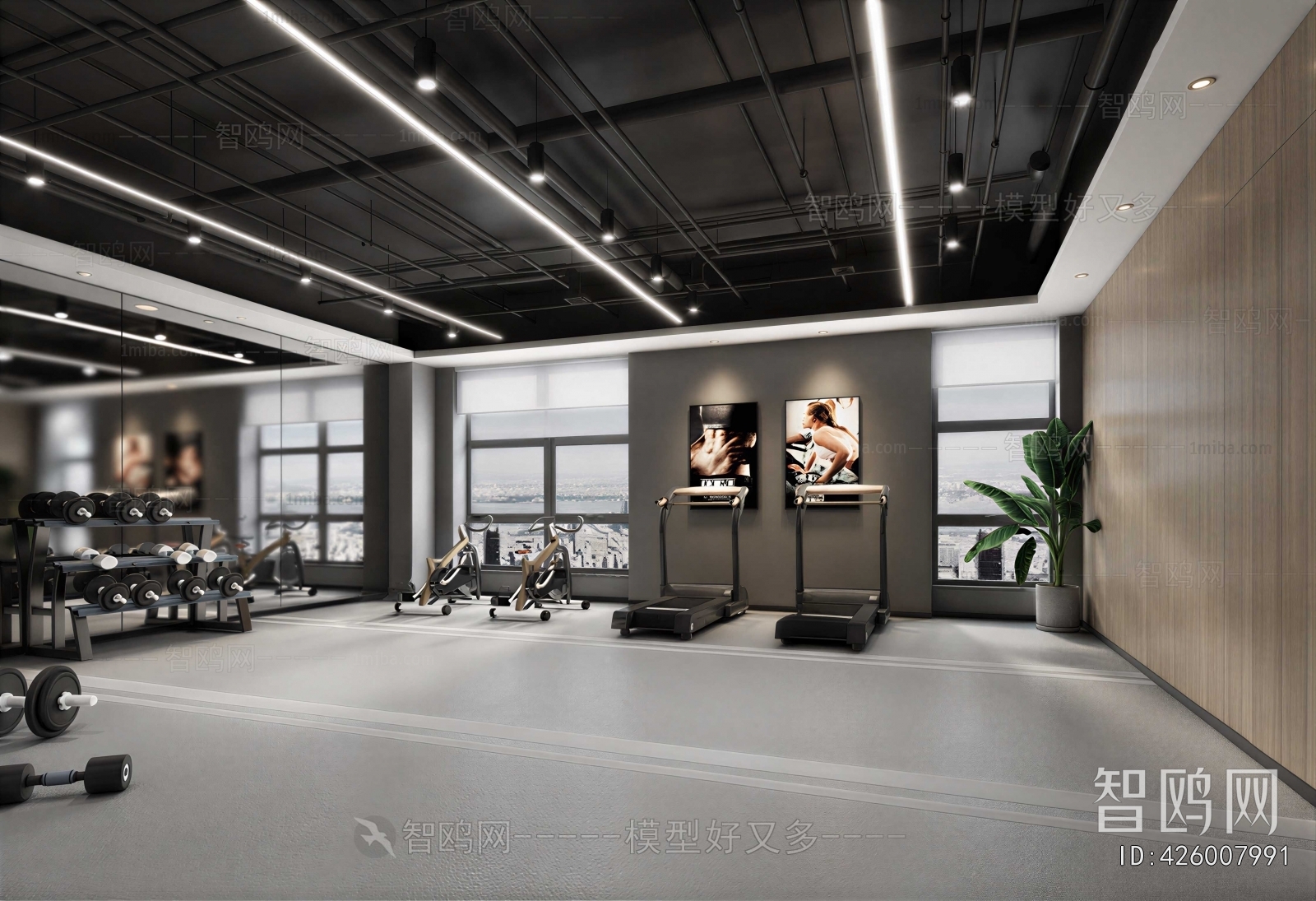 Modern Gym