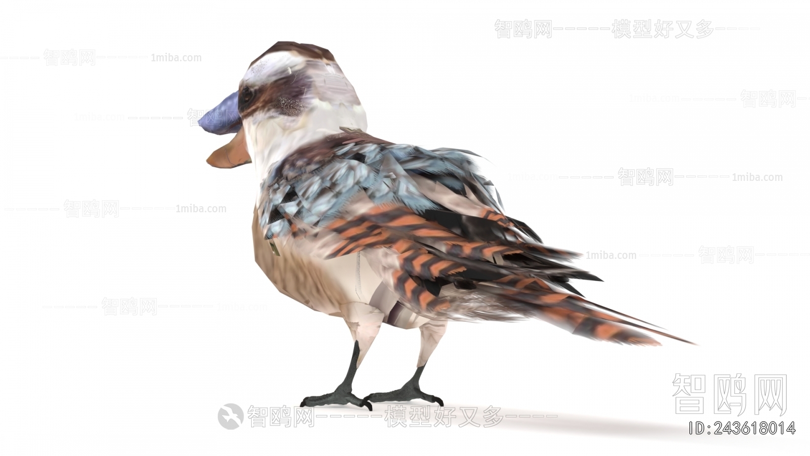 Modern Flying Animals