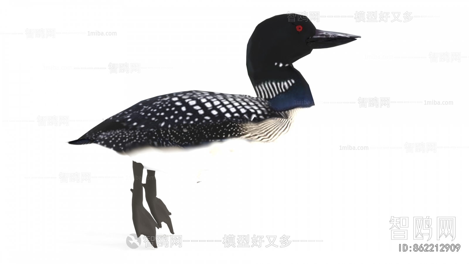 Modern Flying Animals