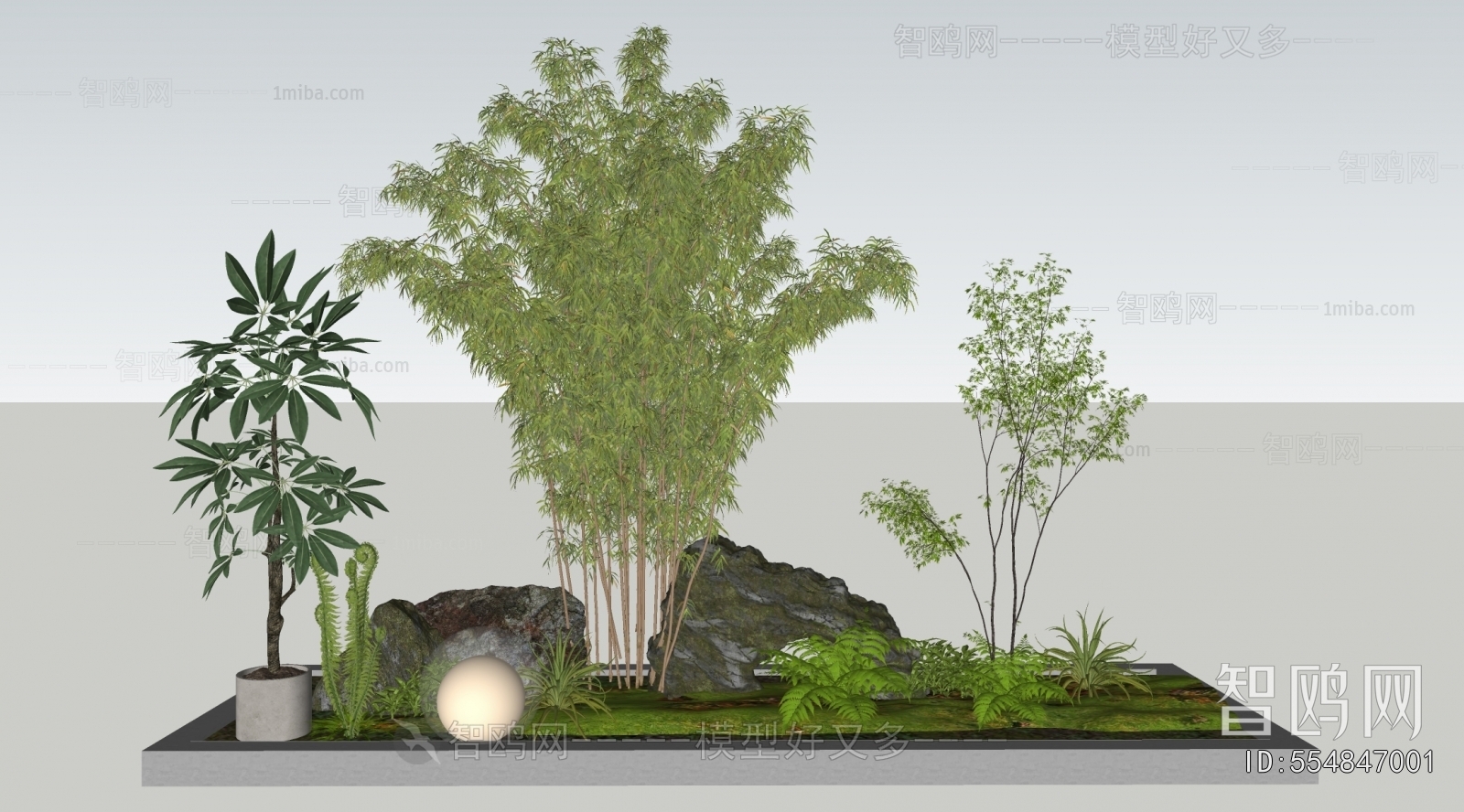 Modern Plant Landscaping