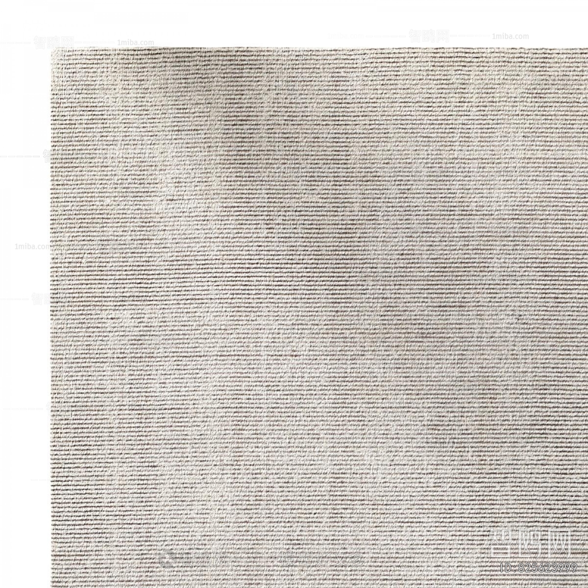 Modern The Carpet