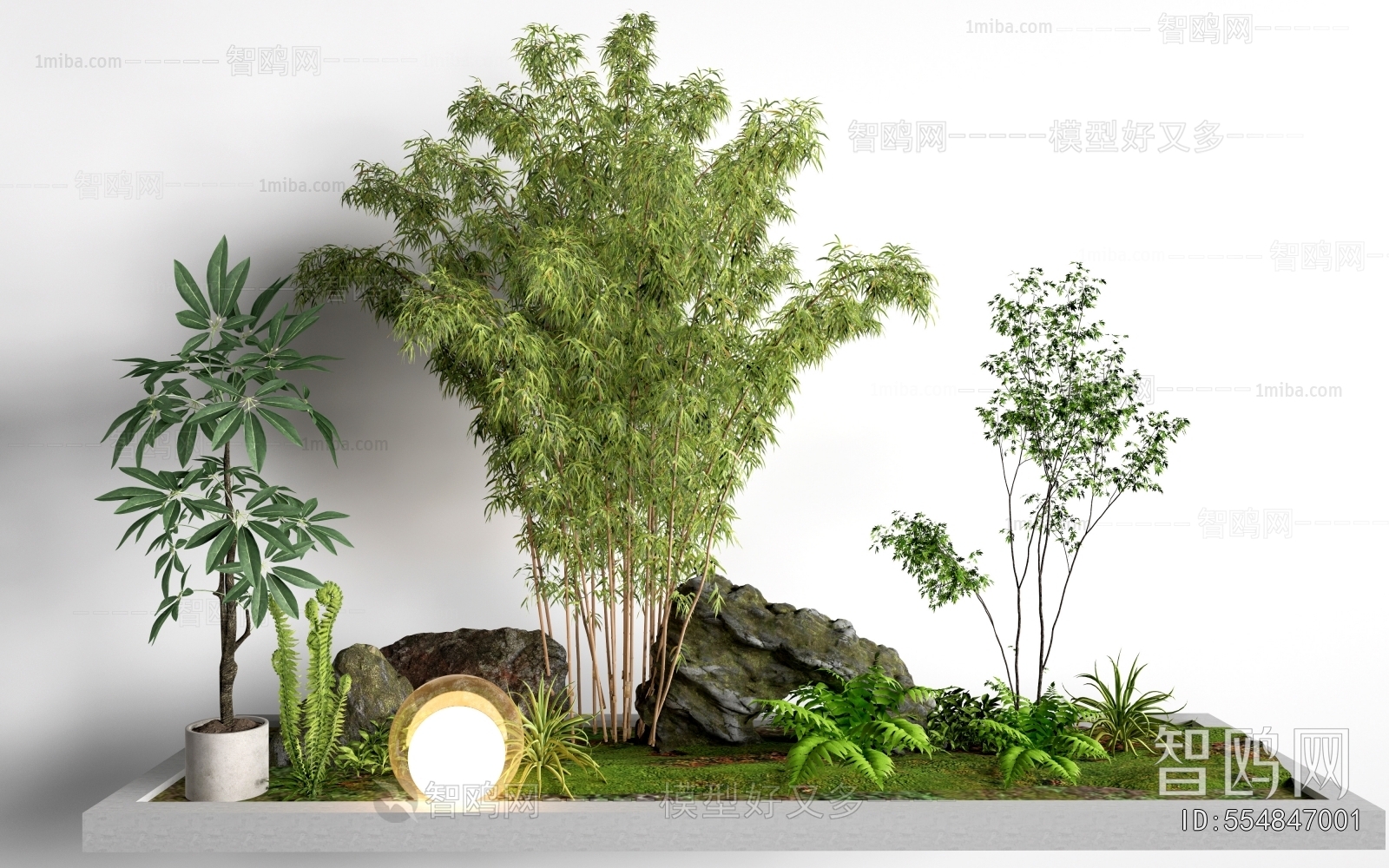 Modern Plant Landscaping