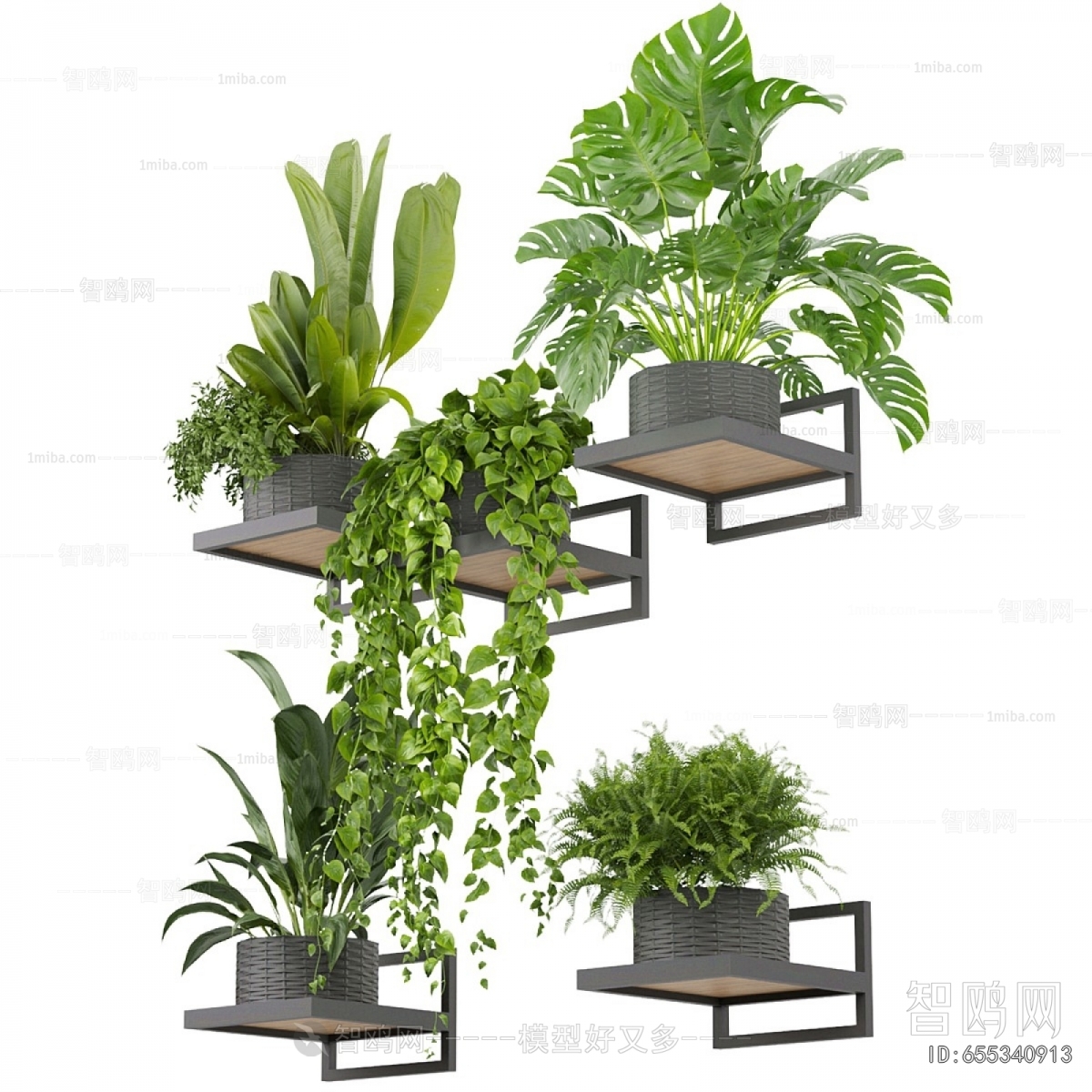 Modern Potted Green Plant