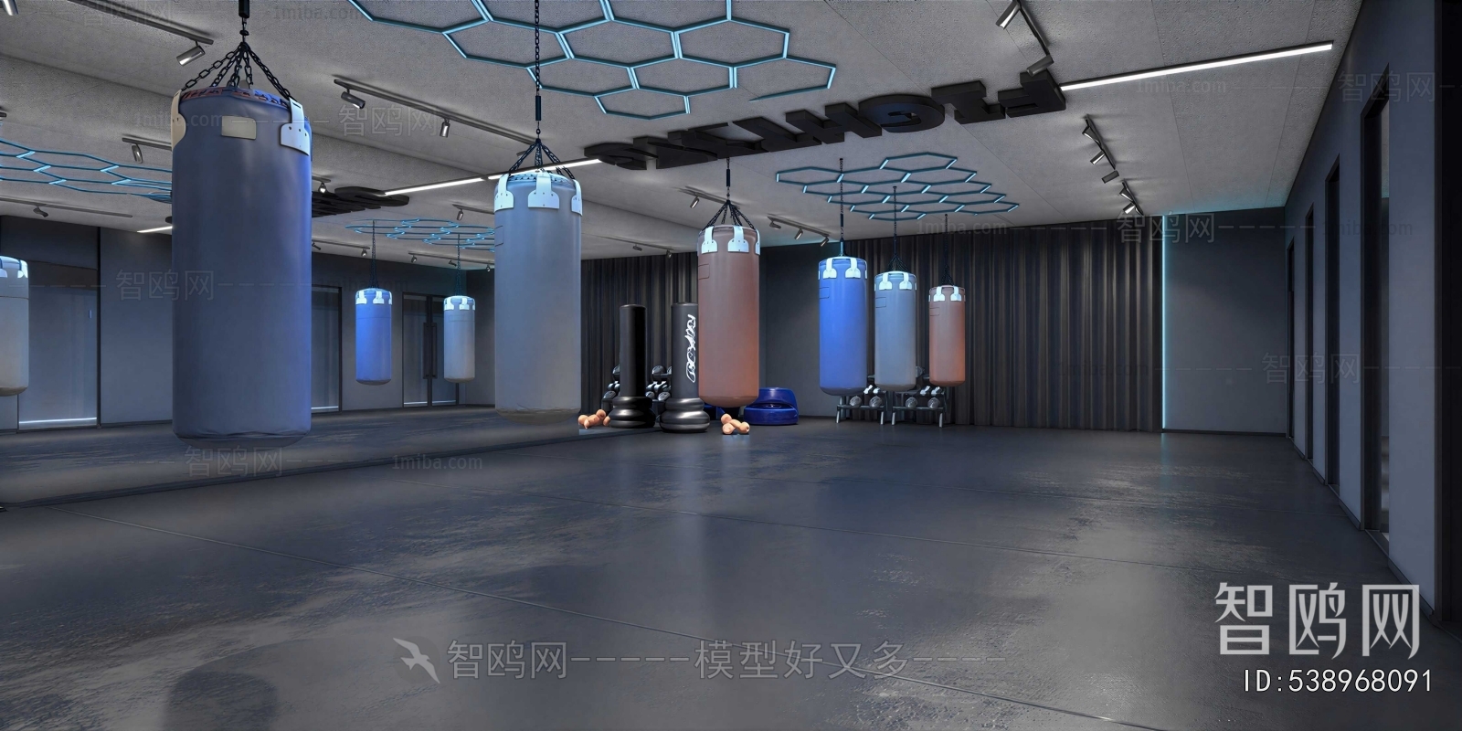 Modern Gym