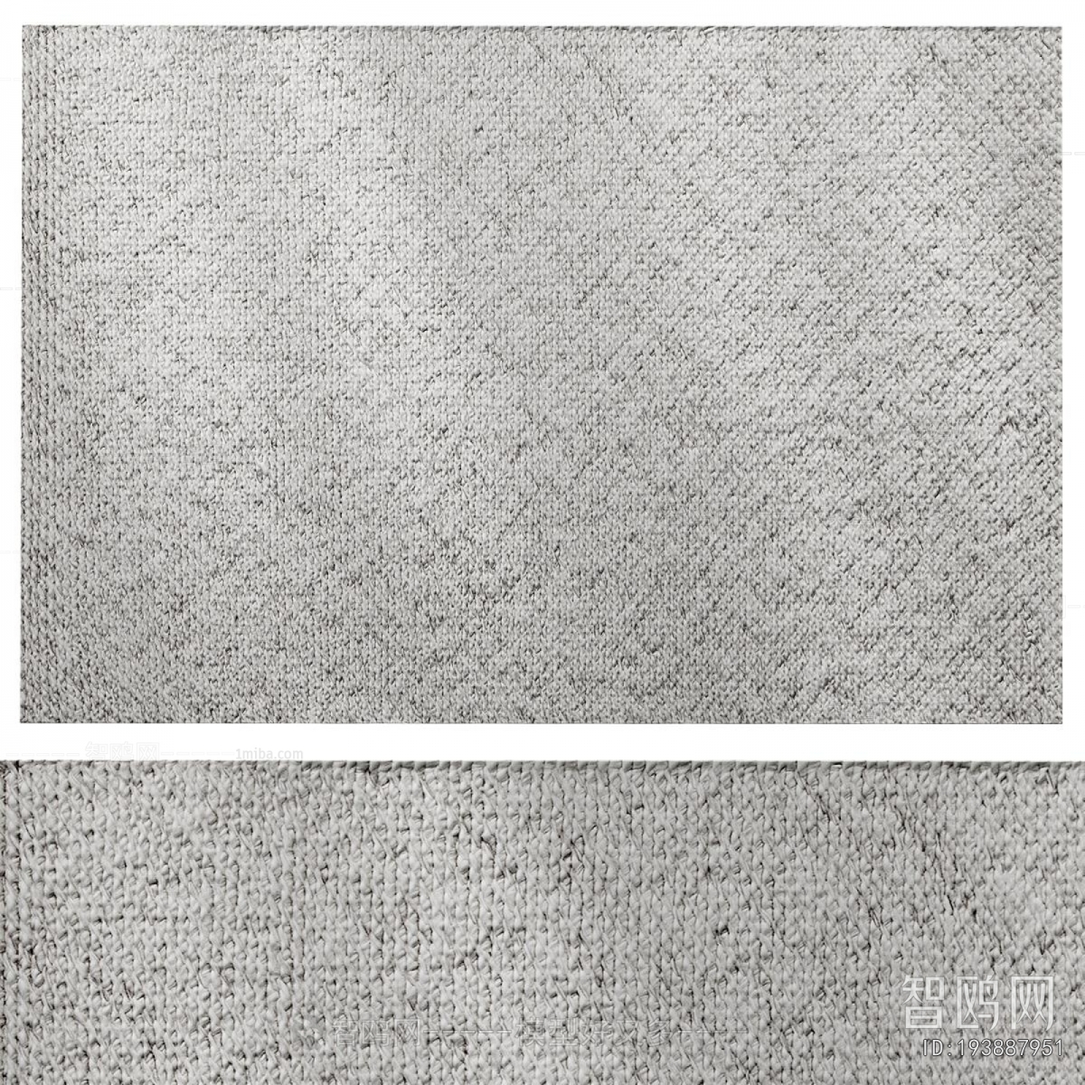 Modern The Carpet