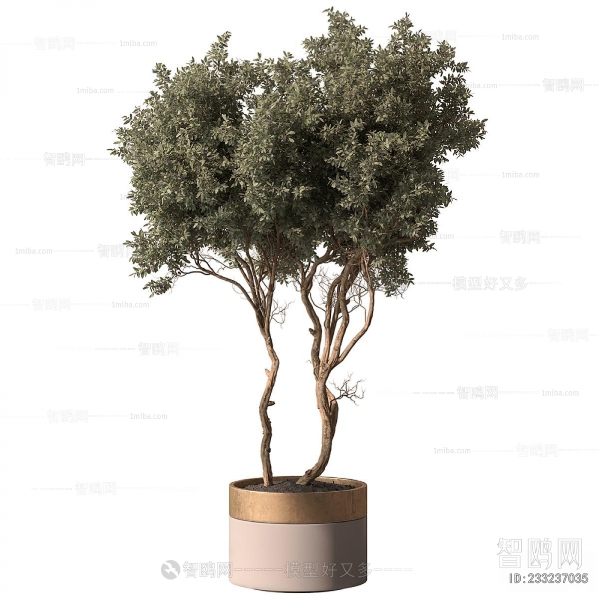 Modern Ground Green Plant Potted Plants