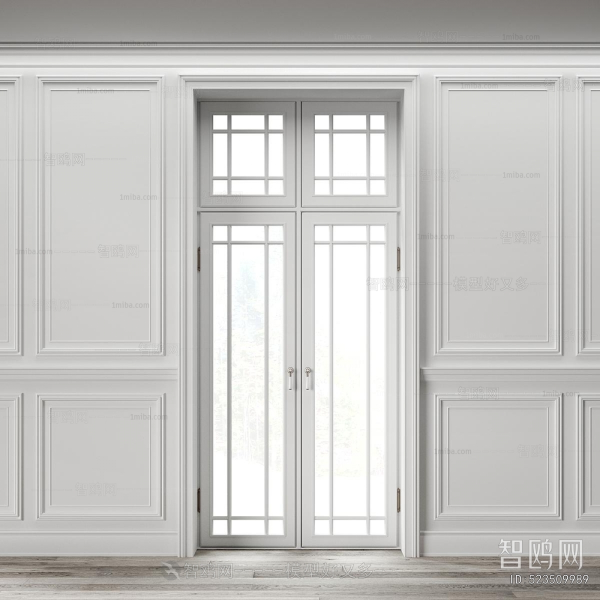 Modern Door