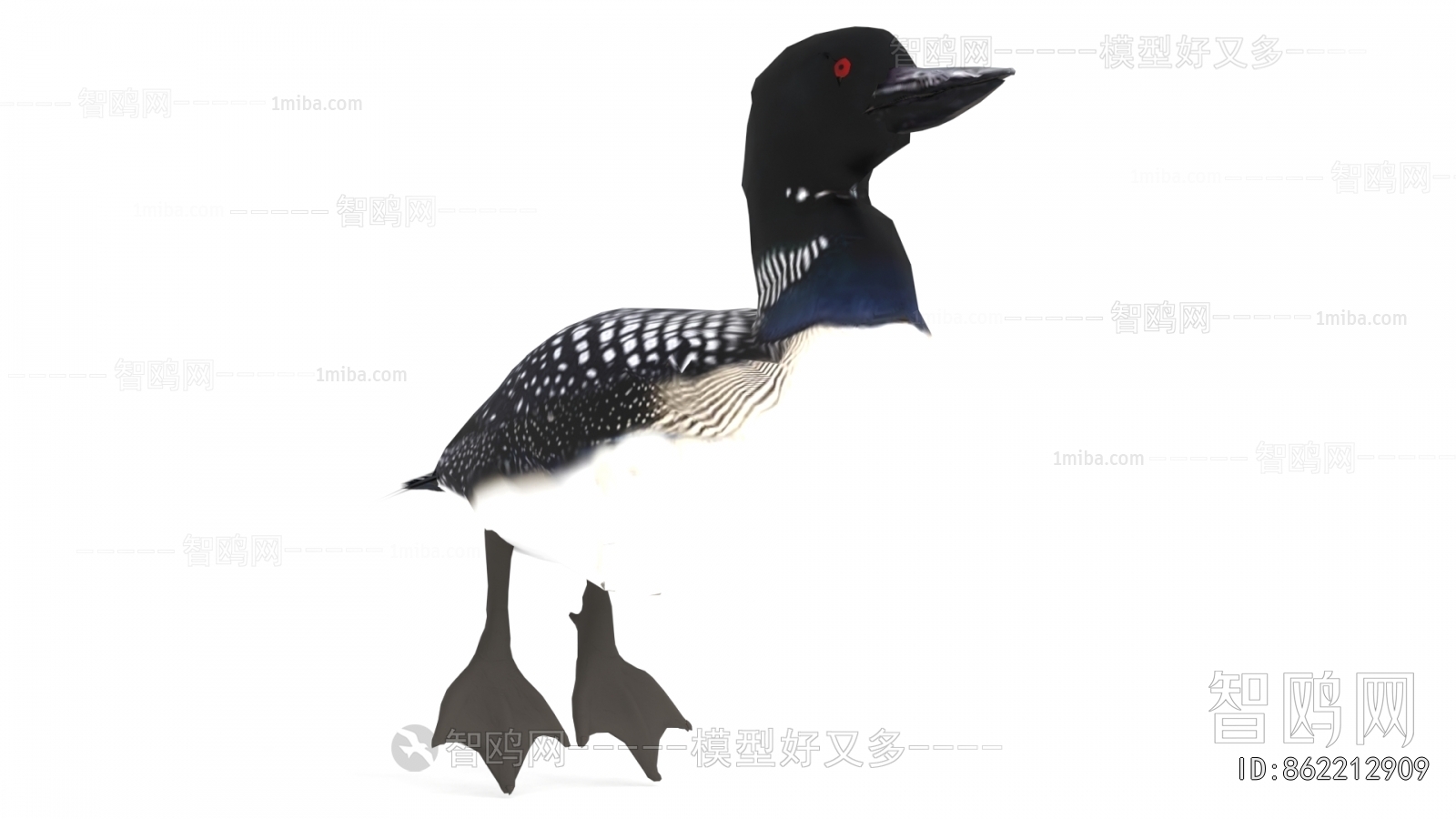 Modern Flying Animals