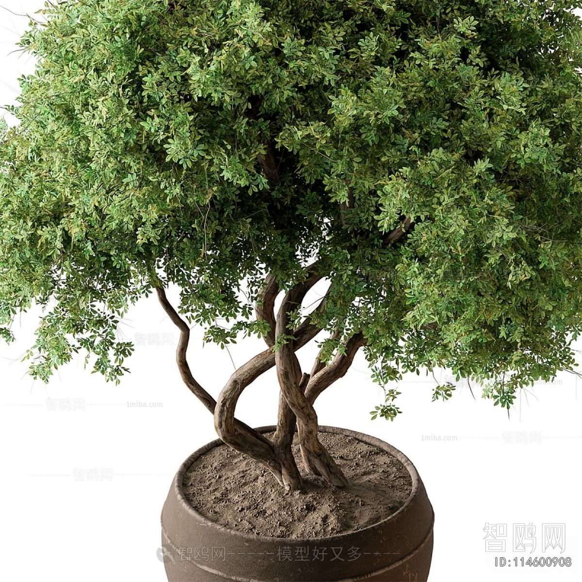 Modern Ground Green Plant Potted Plants