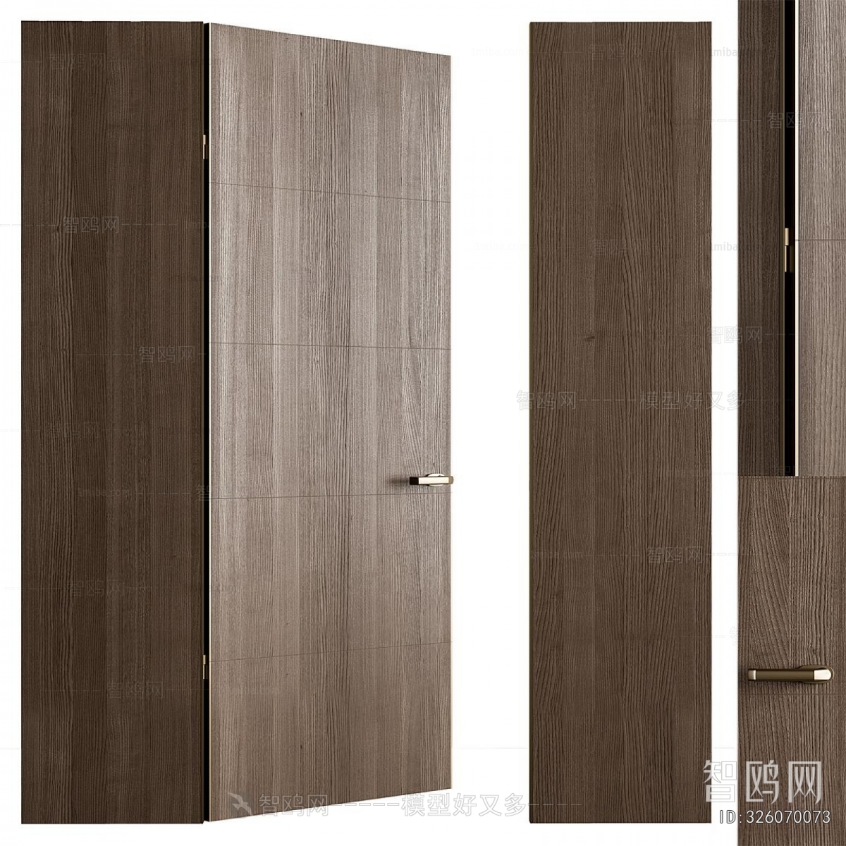 Modern Door