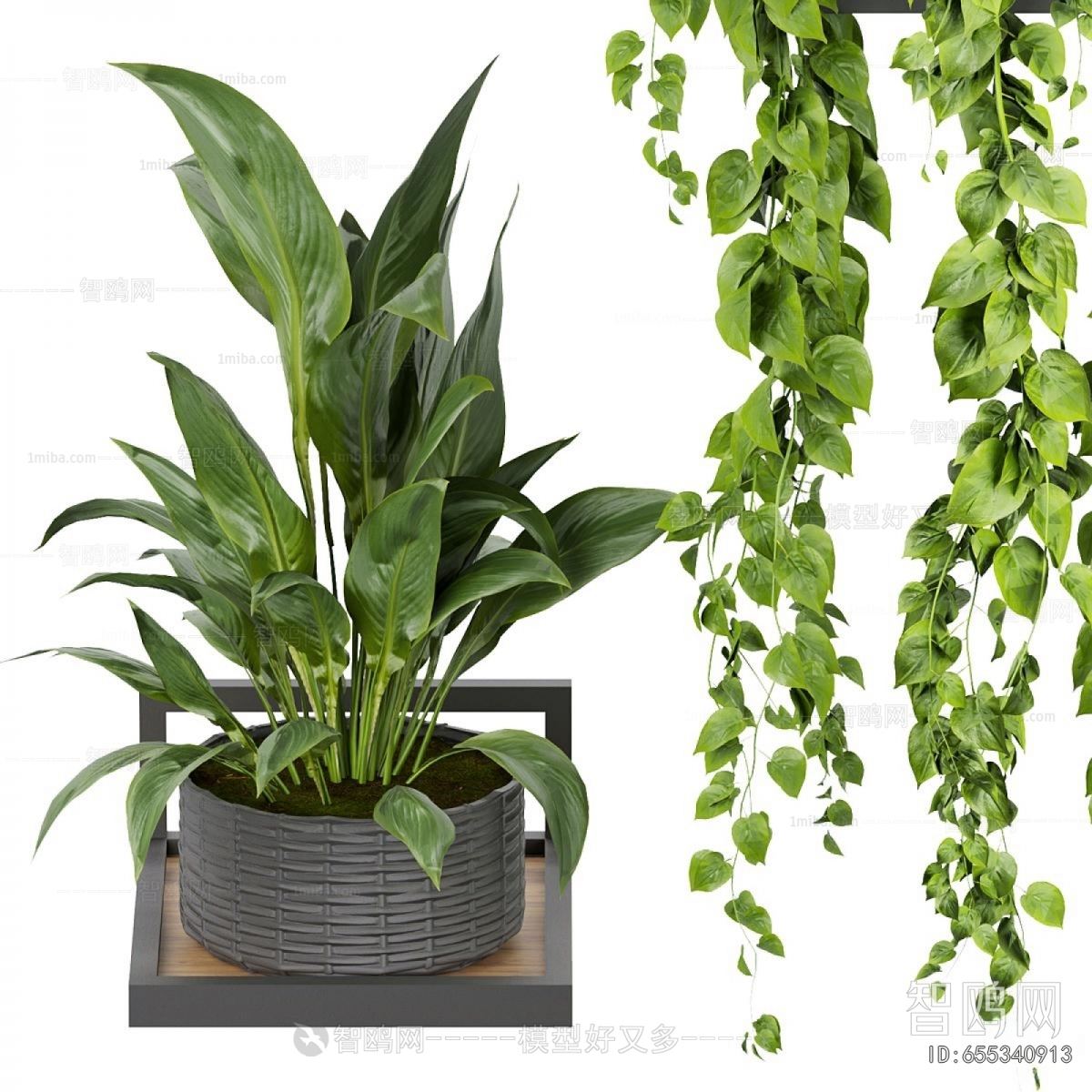 Modern Potted Green Plant