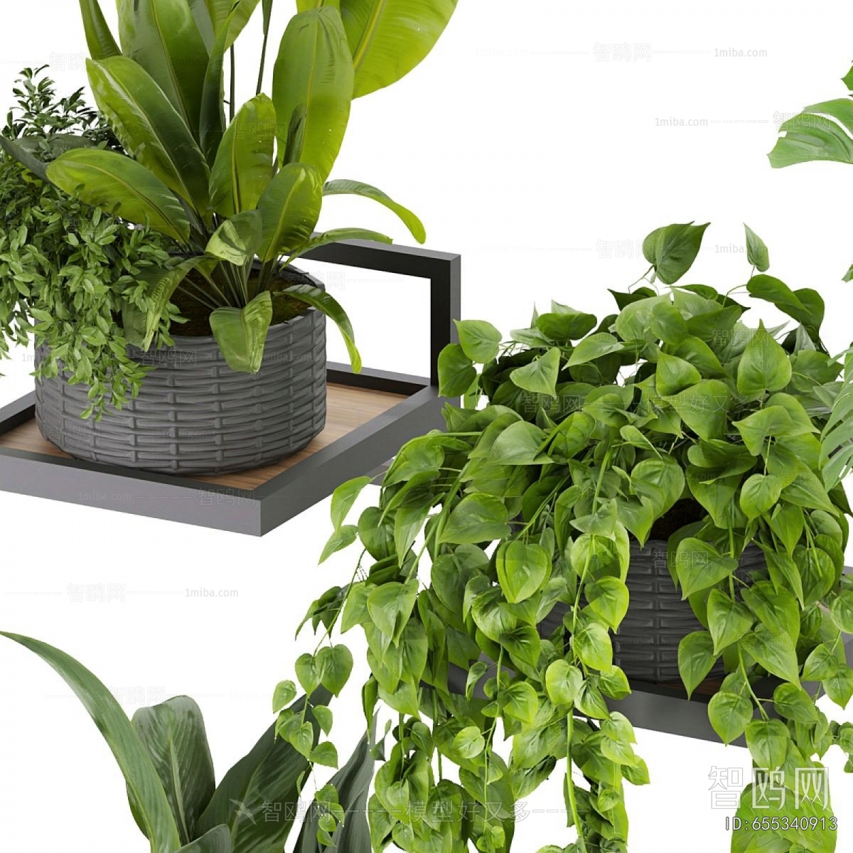 Modern Potted Green Plant