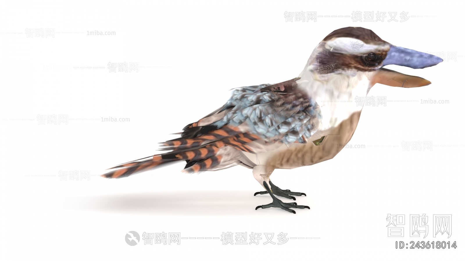 Modern Flying Animals